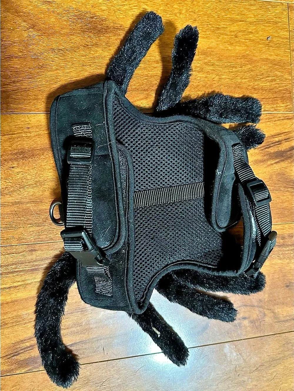 Black Spider Pet Costume - Small